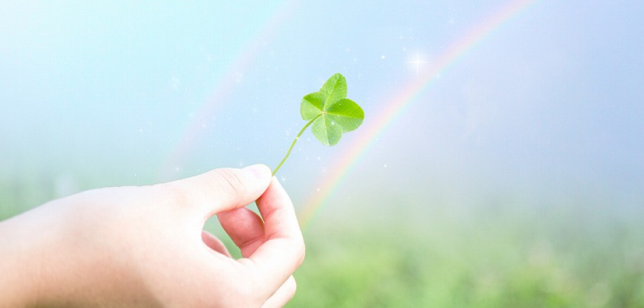 エンディングマニュアル配布